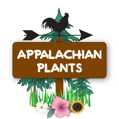 Appalachian-Plants-Icon